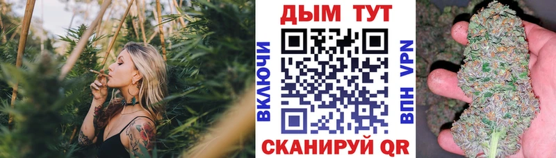 Купить закладку Галлюциногенные грибы  Мефедрон  ГАШ  Кокаин  Амфетамин  Ветлуга