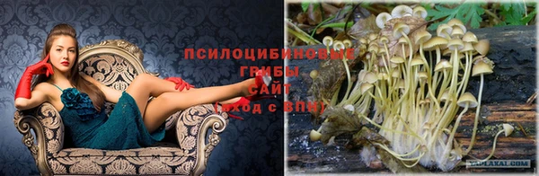 MESCALINE Елабуга