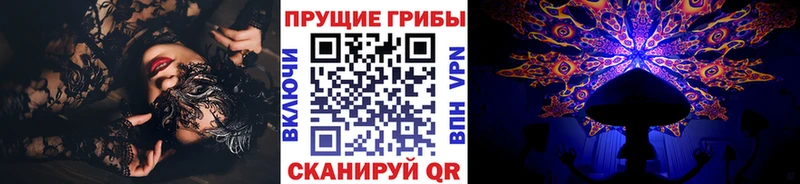 Галлюциногенные грибы Psilocybine cubensis  Купить закладки  Ветлуга 